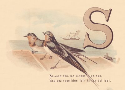 S: Arrivata la stagione invernale, Salvati lontano rondini! da French School
