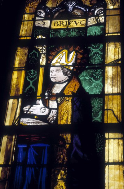 Saint Brieuc - vetrata della Chiesa di Saint Sauveur di Dinan da French School