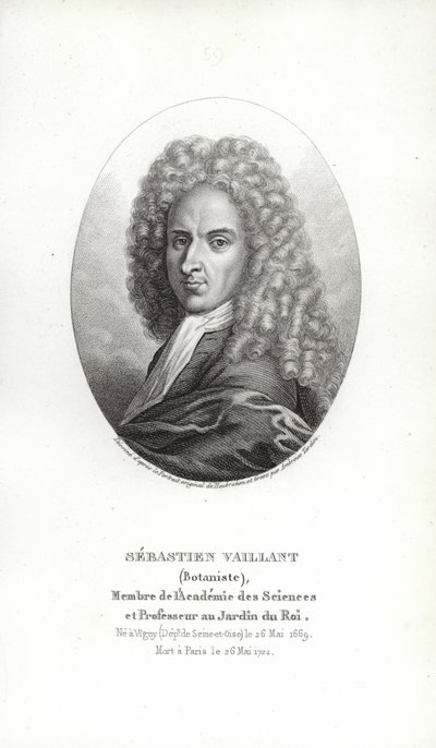 Sébastien Vaillant da French School