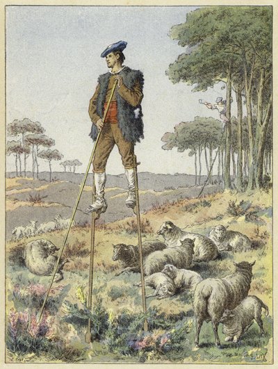 Pastore su trampoli, Landes, Francia da French School