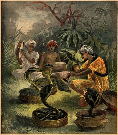 Incantatori di serpenti (cobra) in India. Incisione in 