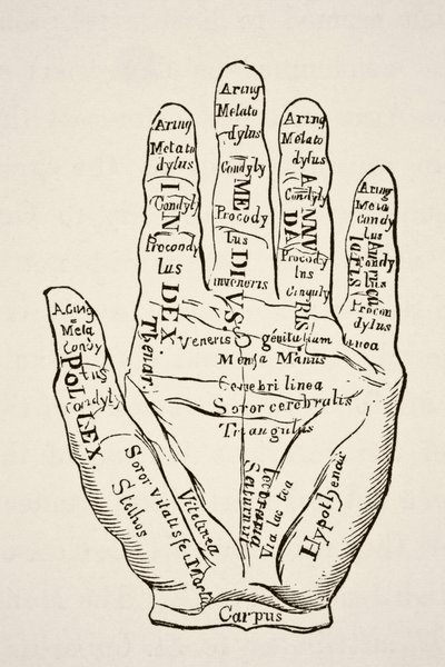 Specimen della mano sinistra con le linee e le loro denominazioni oroscopiche, da 