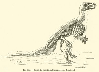 Scheletro del principale iguanodonte di Bernissart da French School