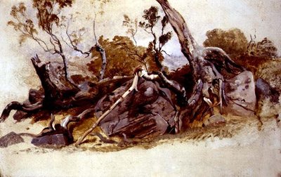 Studio di alberi, c.1825 da French School