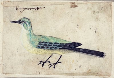 Studio di un Uccello, c.1620 da French School
