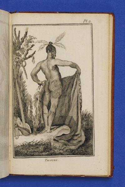 Tacouri, illustrazione da 