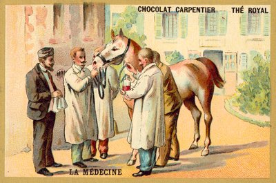 Prelievo di sangue da un cavallo da French School