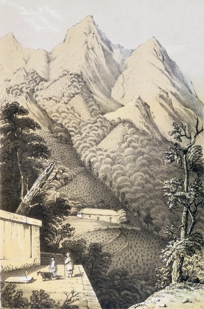 Piantagioni di tè nel distretto del tè verde in Cina, tratto da Un viaggio nei paesi del tè della Cina, pubblicato per la prima volta nel 1852, di Robert Fortune (1812-1880) da French School
