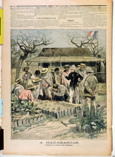 Metodi di insegnamento della coltivazione ai nativi del Madagascar, da Le Petit Journal, 7 novembre 1896 da French School