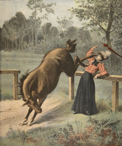 Calcio terribile, illustrazione da Le Petit Journal: Supplement illustre, 3 luglio 1898 da French School