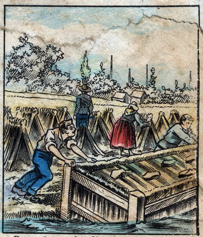 Tessile, lino. Ruggine del lino: per separare i filamenti di paglia, i fasci di lino vengono immersi in acqua. Incisione. Immagine di Epinal fine XIX secolo da French School