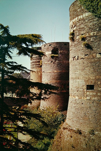 Il castello di Angers, completato nel 1238 da French School