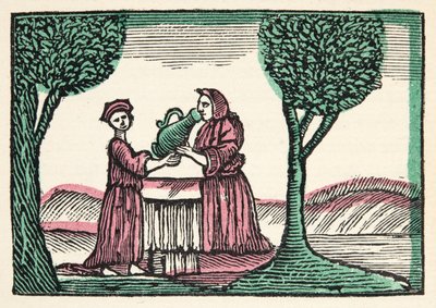 La fata da Histories or Tales of Past Times told by Mother Goose, With Morals, di M Perrault, pub. 1925 (stampa xilografica colorata a mano) da French School