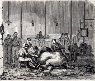 La scuola nazionale veterinaria di Alfort - Le grandi scuole di Francia - scuola veterinaria di Maison Alfort nel 1866 - la sala di dissezione - Incisione in "Le Monde Illustré" del 1866 da French School