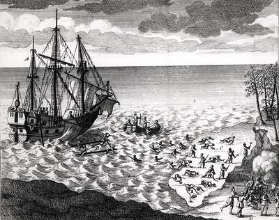 Il Pellicano che affonda vicino alla costa, da Histoire de l