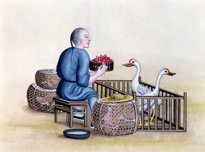 Il mercante di pollame, da un libro sui richiami di strada di Pechino, c.1785 da French School