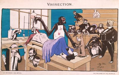 La vendetta degli animali, caricatura della vivisezione, 1909 da French School