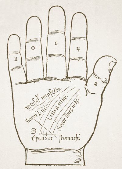 La Mano Destra, Linee Principali, copia di un