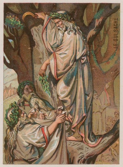 Il vischio sacro da French School