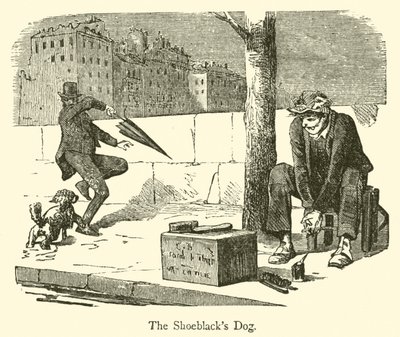 Il cane del lustrascarpe da French School
