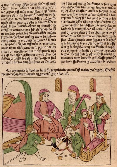 Le fasi della vita, da Le Livre des Proprietes des Choses di Barthelemy l