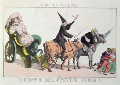Il trionfo del vaiolo, c.1804 da French School