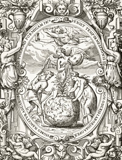 Il Regno Vegetale, da Scienza e Letteratura nel Medioevo di Paul Lacroix da French School
