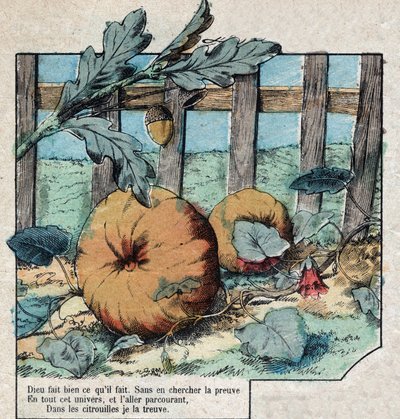 La ghianda e la zucca. Favole di Jean de La Fontaine (1621-95). Immagine di Epinal fine XIX secolo da French School