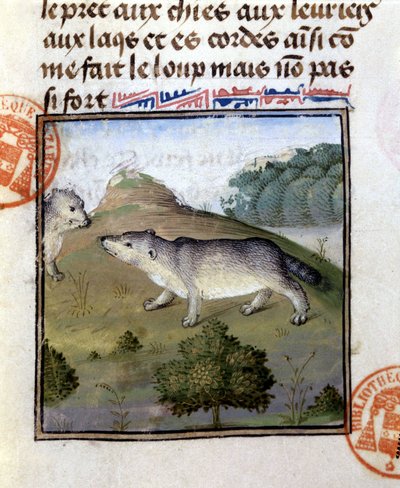 Il tasso - nel "Libro di Caccia di Gaston Phoebus, Conte di Foix, Signore di Béarn" da French School