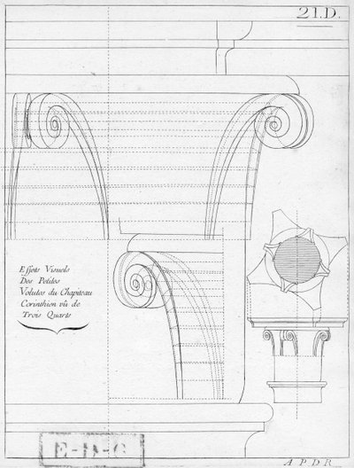 Il capitello corinzio, illustrazione da un libro di geometria, XVIII o XIX secolo, pubblicato Avec Privilege du Roy et E.. du Gouvernement da French School