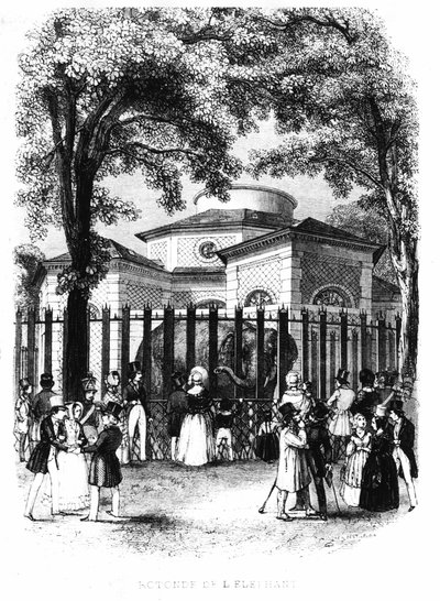 La rotonda degli elefanti del giardino delle piante a Parigi - incisione da French School