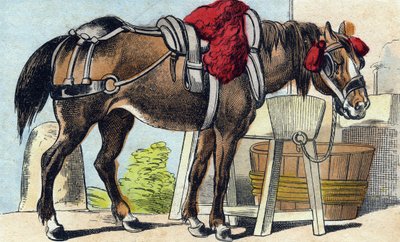 Il cavallo da French School