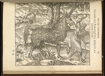 La caccia a un unicorno a due corna (un pirassoipi.) dal 