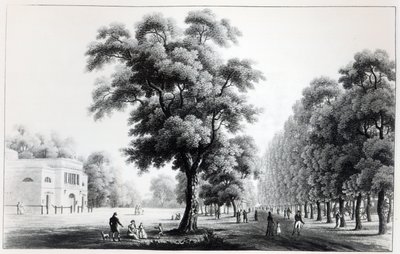 Il viale principale nel Prater, Vienna, 1821 da French School