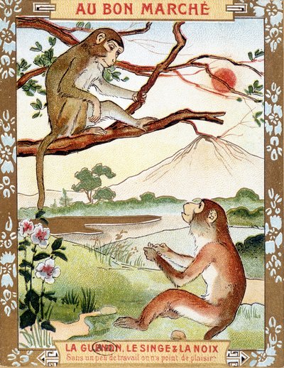 La scimmia e la noce (Favola di La Fontaine) - vignetta pubblicitaria del Bon Marché da French School