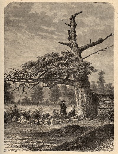 La quercia di Enrico IV a Sainte Foix, vicino a Rennes - incisione in "PATRIE - DESCRIPTION PICTURESQUE DE LA FRANCE EN 6 VOLUMES" di Lucien Huard - fine XIX secolo da French School