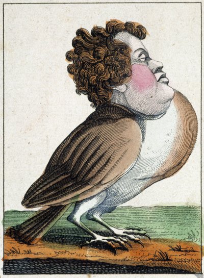 Il piccione in caricatura, studio del carattere “carattere volatile” sd. XIX secolo, immaginario popolare. da French School