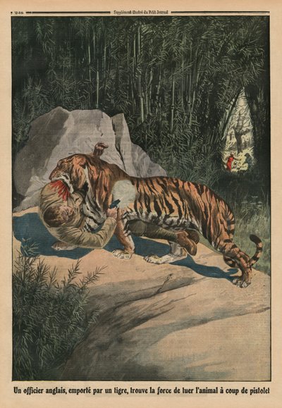 Tigre che attacca un ufficiale britannico, illustrazione di copertina posteriore da 