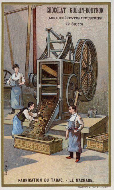 Produzione di tabacco. Sminuzzamento delle foglie da French School