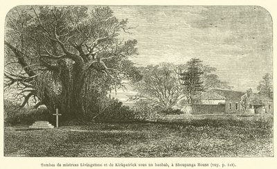 Tombe di mistress Livingstone e di Kirkpatrick sotto un baobab, a Shoupanga House da French School
