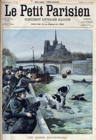 Addestramento dei cani da salvataggio da parte della polizia nella Senna a Parigi. Incisione in "Le Petit Parisien" da French School