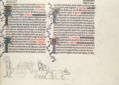 Trasporto di beni su un carro trainato da buoi, miniatura incompiuta dalla Bibbia di Jean de Sy, c.1355 da French School