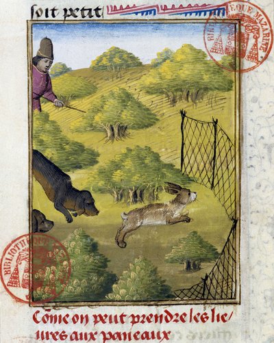 Trappola per lepre e cani da caccia - nel "Libro di Caccia di Gaston Phoebus, Conte di Foix, Signore di Béarn" da French School