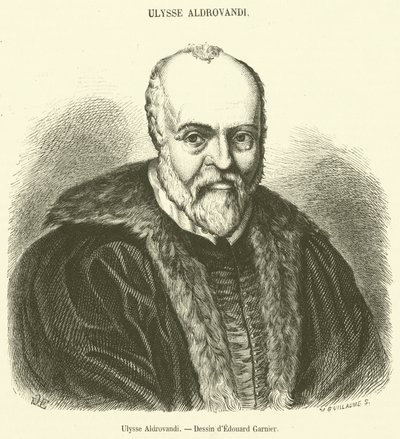 Ulysse Aldrovandi da French School