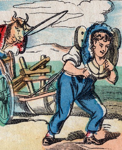 Mondo alla rovescia: buoi che guidano l