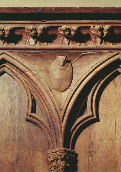 Pipistrello vampiro, da uno stallo del coro da French School