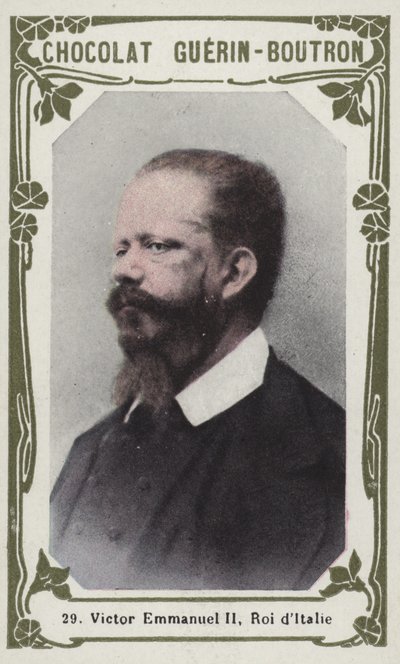 Vittorio Emanuele II, Re d