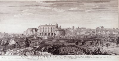 Veduta del Castello Reale di Amboise dalla costa dei campi da French School