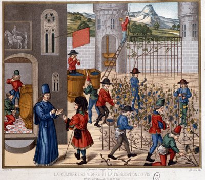 Coltivazione della vite e produzione del vino nel Medioevo da French School