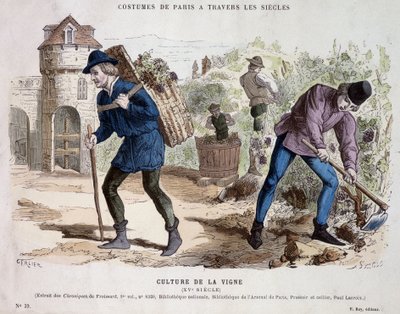 Coltivazione della vite nel XV secolo - in “Costume di Parigi attraverso i secoli” da French School